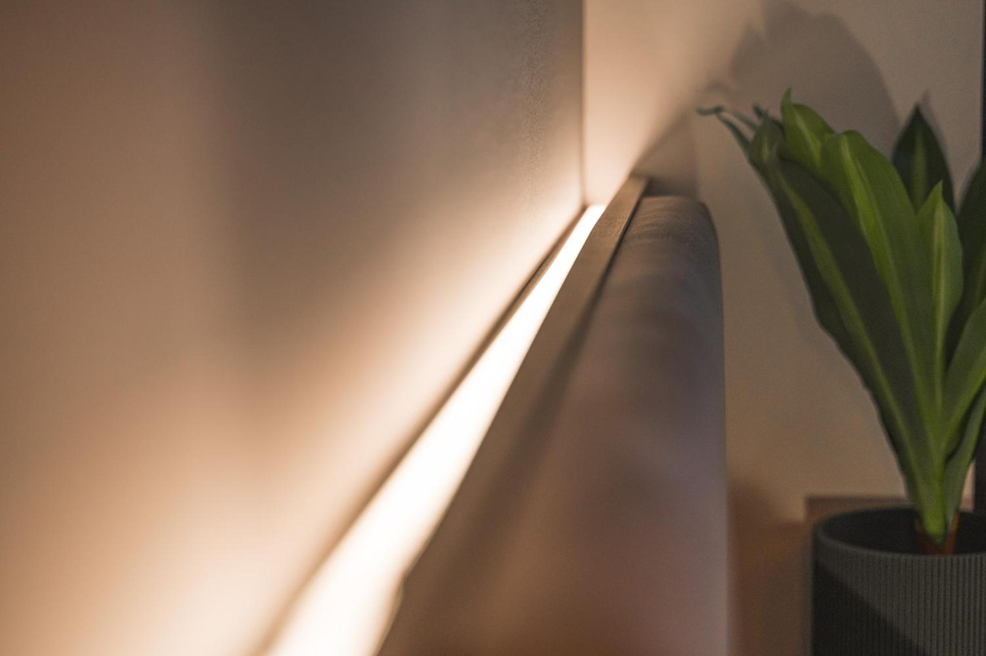 Jungle No5 Boutique Hotel - Stuttgart City-Center エクステリア 写真
